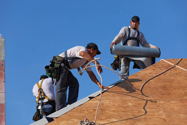Best Roof Waterproofing Services  in Clawson, MI